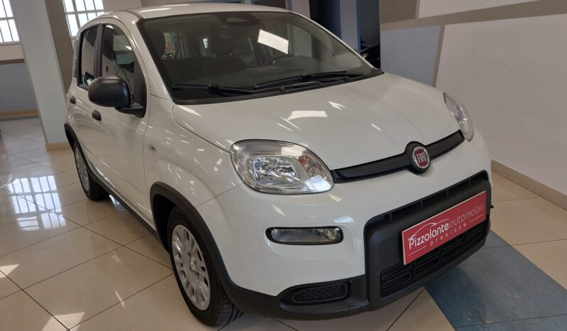 Nuova FIAT PANDINA 1.0 HYBRID completo