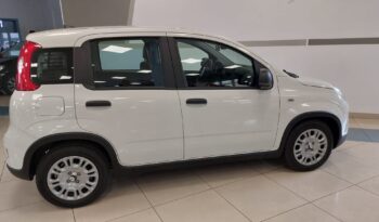 Nuova FIAT PANDINA 1.0 HYBRID completo